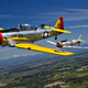 Illustration for article titled Amazing Warbird Photos Look Like They Were Taken By A Time-Traveler